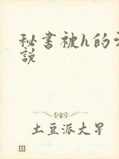 秘书被h的污小说