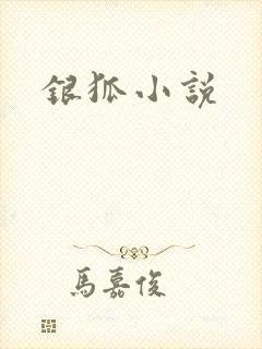 银狐小说