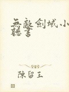 无敌剑域小说 听书