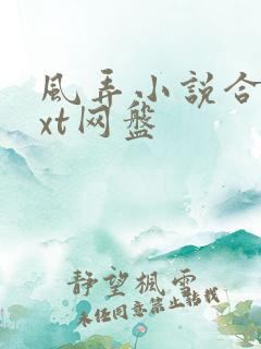 风弄小说合集txt网盘