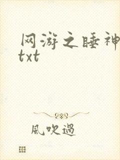 网游之睡神传说txt