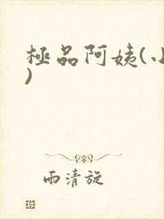 极品阿姨(小说)