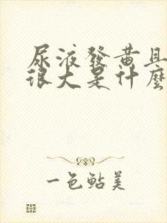 尿液发黄且味道很大是什么原因