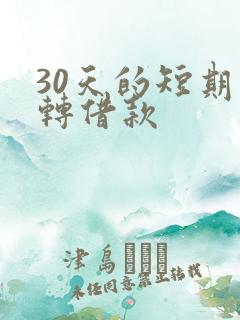 30天的短期周转借款