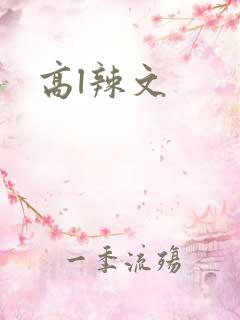 高l辣文
