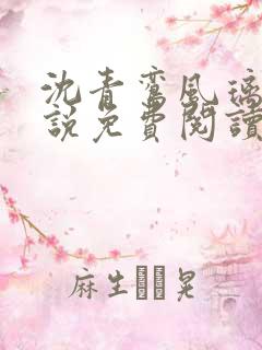 沈青鸾风璃宸小说免费阅读