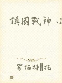 镇国战神 小说