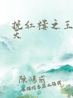 挽红楼之玉舞九天