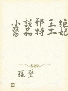 小说邪王绝宠:医品特工妃大结局