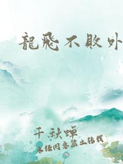 龙飞不败外传