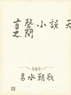 有声小说 天地之间