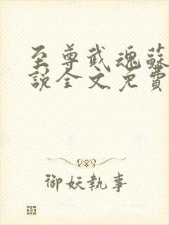 至尊武魂苏莫小说全文免费阅读