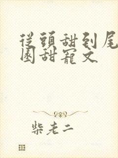 从头甜到尾的校园甜宠文