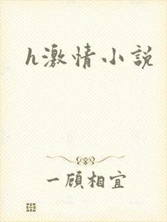 h激情小说