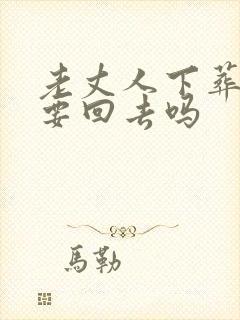 老丈人下葬女婿要回去吗