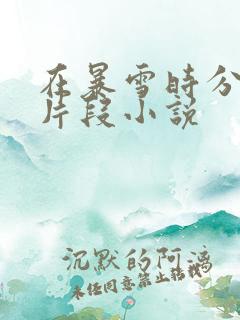 在暴雪时分高能片段小说