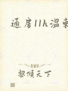 通房11h温东