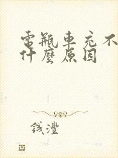 电瓶车充不进电什么原因