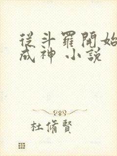 从斗罗开始逆天成神 小说