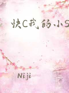 快C我的小SB