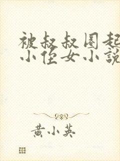 被叔叔圈起来的小侄女小说免费阅读