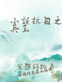 小说抗日之特战兵王