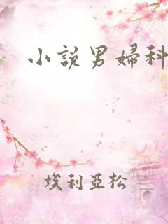 小说男妇科医生