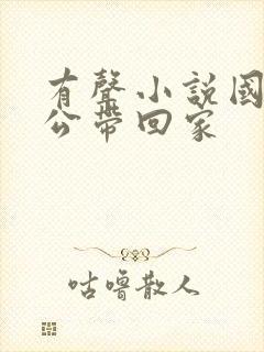 有声小说国民老公带回家