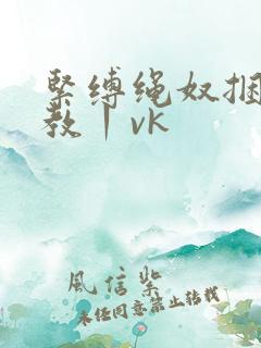 紧缚绳奴捆绑调教丨vk