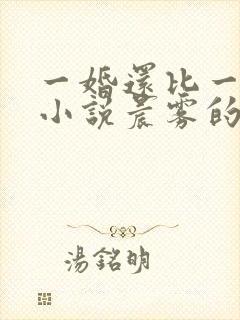 一婚还比一婚高小说晨雾的光