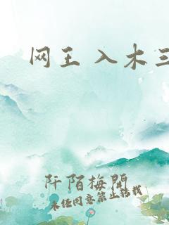 网王 入木三分