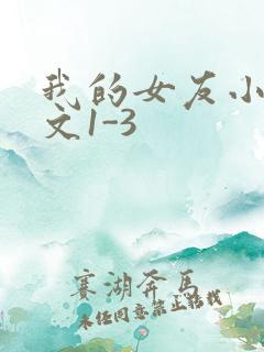 我的女友小洁全文1-3