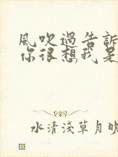 风吹过告诉我说你很想我是什么歌