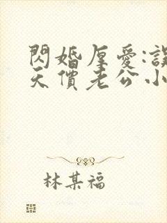 闪婚厚爱:误嫁天价老公小说