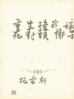 重生后我嫁给了死对头 椰子絮