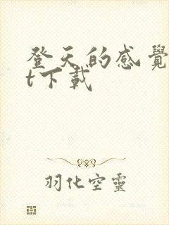 登天的感觉txt下载