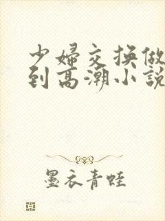 少妇交换做爰做到高潮小说