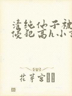 清纯仙子被强行侵犯高h小说
