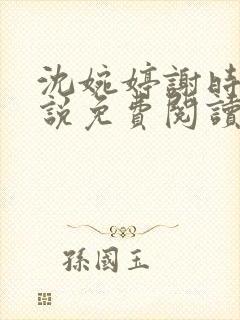 沈婉婷谢时渊小说免费阅读最新章节