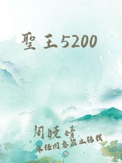 圣王5200