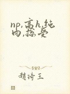 np,高h,纯肉,总受