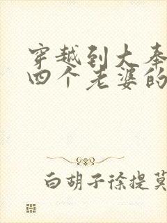 穿越到大奉娶了四个老婆的小说