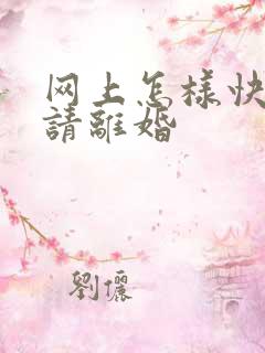 网上怎样快速申请离婚