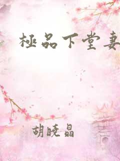 极品下堂妻