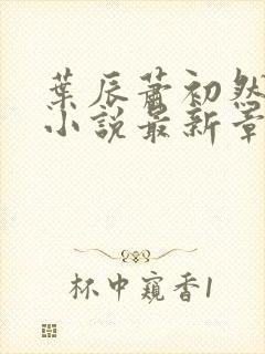 叶辰萧初然结局小说最新章节