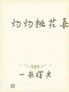 灼灼桃花长相思