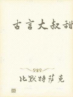 古言大叔甜宠文