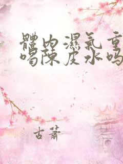 体内湿气重可以喝陈皮水吗