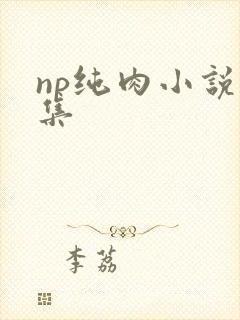 np纯肉小说合集
