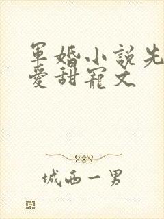 军婚小说先婚后爱甜宠文